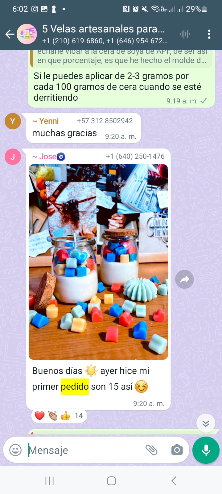 Screenshot_20240221_180236_WhatsAppBusiness