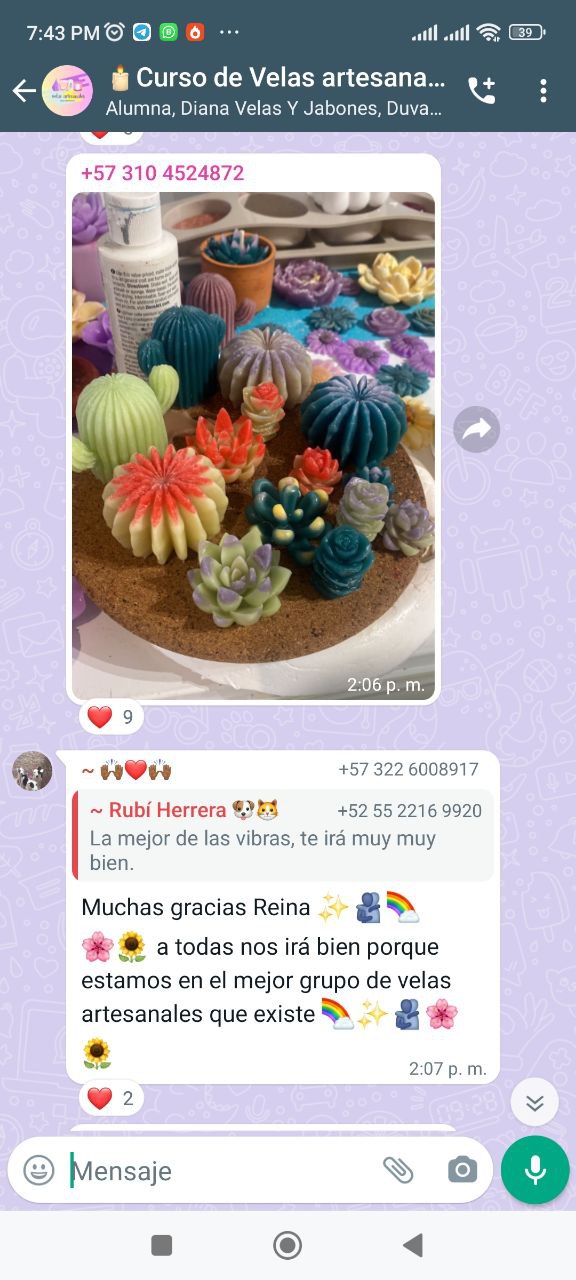 photo_2023-07-08_20-20-08